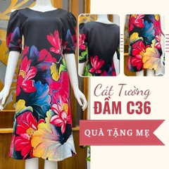 Đầm C36