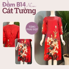 Đầm B14