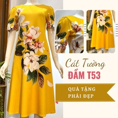 Đầm T53