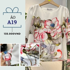 Áo A19