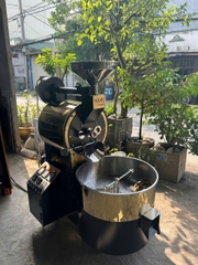 Máy rang điện JS6E