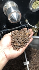 Máy rang GAS JS20G