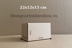 100 Hộp Carton 22x12x13CM
