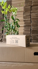 Hộp Ship Cod in Logo theo yêu cầu