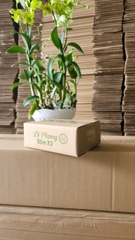 Hộp Ship Cod in Logo theo yêu cầu