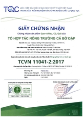 Gạo trắng hữu cơ ST24 - Nông trường Cá Bờ Đập