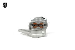 Heo sau Formula 2 Piston