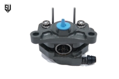 Heo Thắng Brembo Racing P2.24