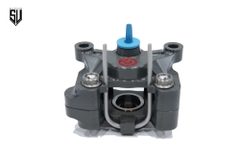 Heo Thắng Brembo Racing P2.24