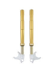 Phuộc trước Ohlins Yamaha R1/R6/MT-10