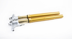 Phuộc trước Ohlins Yamaha R1/R6/MT-10