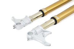 Phuộc trước Ohlins BMW R9T 2018 Màu Vàng