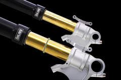 Phuộc trước Ohlins BMW R9T 2018 Màu Đen