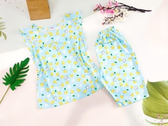 NL cánh tiên quần lửng