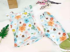 NL cánh tiên quần lửng