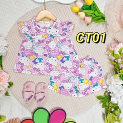 gai dui