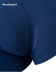 Quần Lót Nam Trunk Cotton Co Giãn Thoải Mái, Welly Sport, Mã QLN - Combo 3