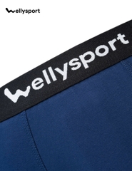 Quần Lót Nam Trunk Cotton Co Giãn Thoải Mái, Welly Sport, Mã QLN - Combo 3
