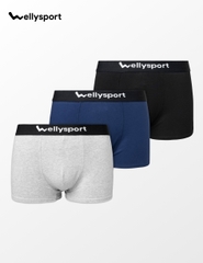 Quần Lót Nam Trunk Cotton Co Giãn Thoải Mái, Welly Sport, Mã QLN - Combo 3