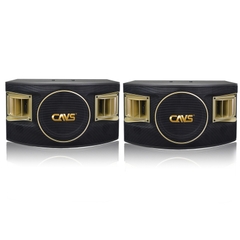 Loa Karaoke CAVS 530SE