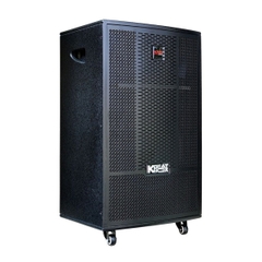 Acnos CB41neo (Bass 40cm, 200W/800W, Kèm 2 Micro)