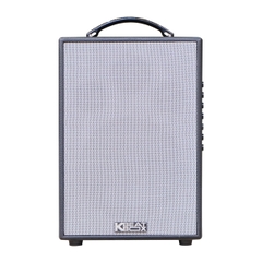 Acnos CS121 (Bass 20cm, 70W, Bluetooth 5.0, Kèm 2 Micro)