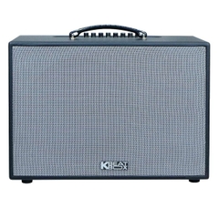 Acnos CS251PU (Bass 25cm, 70W, Kèm 2 Micro)