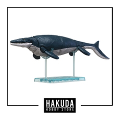 Mô hình Khủng Long Plannosaurus Mosasaurus - Chính hãng Bandai Nhật Bản