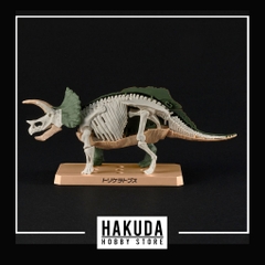 Mô hình Khủng Long Plannosaurus Triceraptors - Chính hãng Bandai Nhật Bản