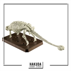 Mô hình Khủng Long Plannosaurus Ankylosaurus- Chính hãng Bandai Nhật Bản