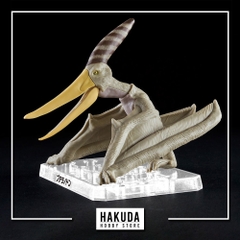Mô hình Khủng Long Plannosaurus Pteranodon - Chính hãng Bandai Nhật Bản