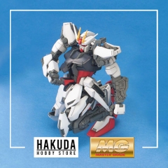 Mô hình MG 1/100 Strike Gundam IWSP - Chính hãng Bandai Nhật Bản