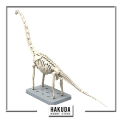 Mô hình Khủng Long Barachiosaurus - Mô hình chính hãng Bandai Nhật Bản