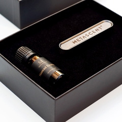 CAR DIFFUSER SET