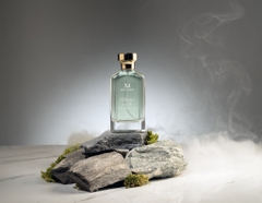 BLOOM IN THE STILLNESS