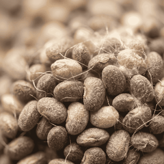 RAW MATERIAL - AMBRETTOLIDE 10% IN DPG