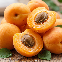 APRICOT