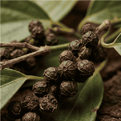 RAW MATERIAL - BLACK PEPPER ESSENTIAL OIL