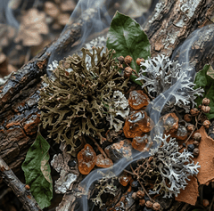 RAW MATERIAL - OAKMOSS RE 10% IN DPG
