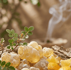 RAW MATERIAL - OLIBANUM ESSENTIAL OIL