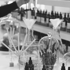 A DAY WITH A PERFUMER