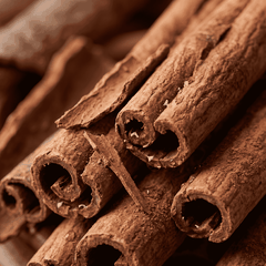 RAW MATERIAL - CINNAMON