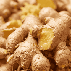 RAW MATERIAL - GINGER FLEURESSENCE