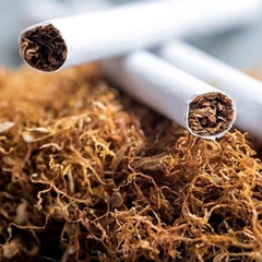 Thuốc lá - Tobacco