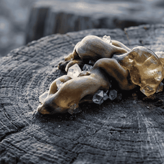 RAW MATERIAL - LEATHER