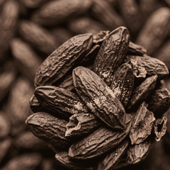RAW MATERIAL - TONKA BEAN ABS 10% IN DPG