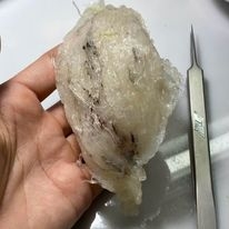 GIA CÔNG RL YẾN 100gr