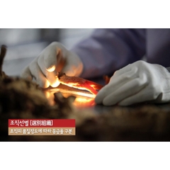 Hồng Sâm Củ Khô Bio 75g củ to (3 củ) (Hộp