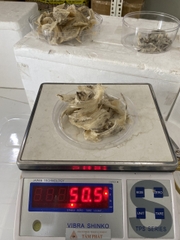 CHÂN YẾN THÔ Hộp 50gr