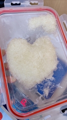 YẾN TƯƠI LOẠI 2 Hộp 200gr